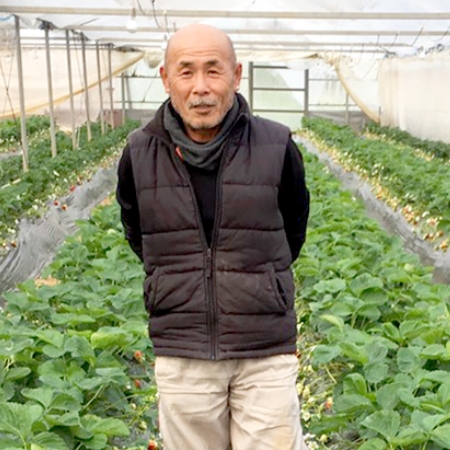 サムネイル画像:九州産のいちごのみを使って加工