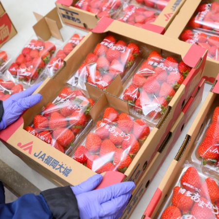 サムネイル画像:生産から加工まで徹底管理