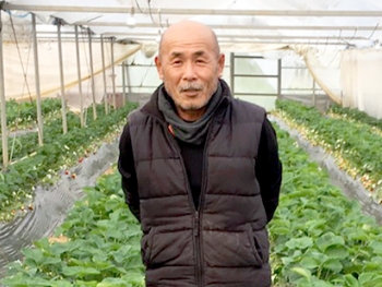 サムネイル画像: