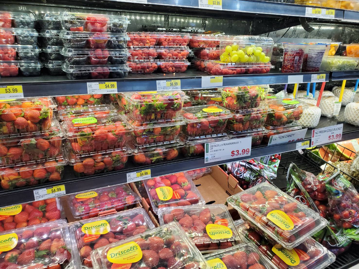 アイキャッチ画像：アメリカ視察