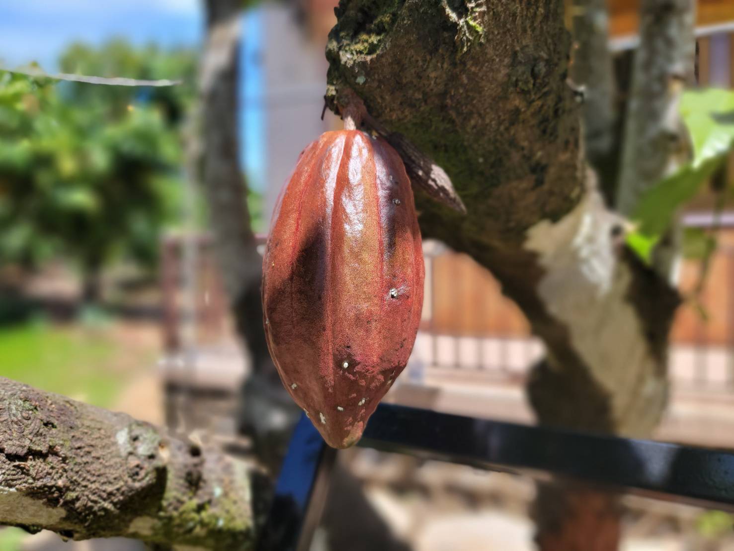 アイキャッチ画像：ベトナム視察