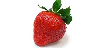 アイキャッチ画像：クリスマス産地情報